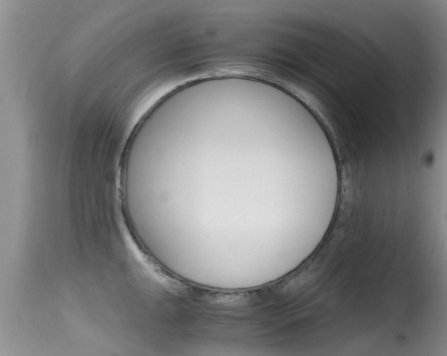 X0000115481047200911061020