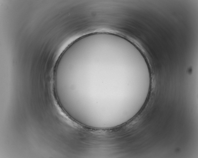 X0000115481048200911061020