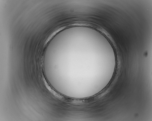 X0000115481049200911061020