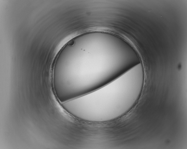 X0000115481050200911061020