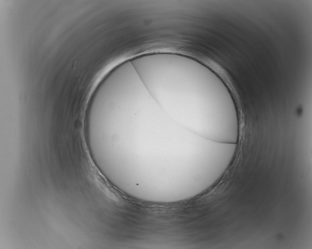 X0000115481051200911061020