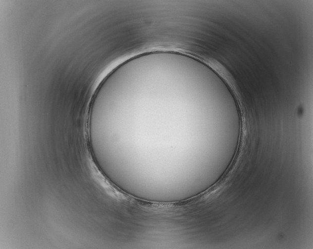 X0000115481052200911061020