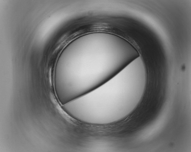 X0000115481054200911061020