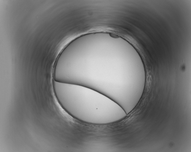 X0000115481055200911061020