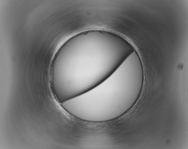 X0000115481056200911061020