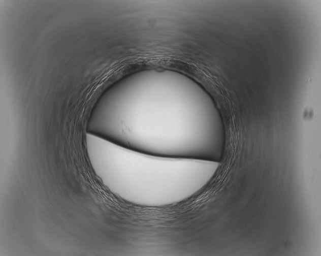 X0000115481057200911061020
