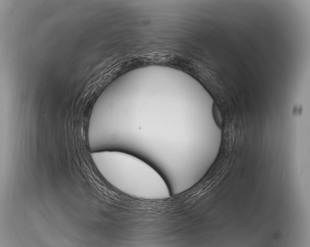 X0000115481058200911061020