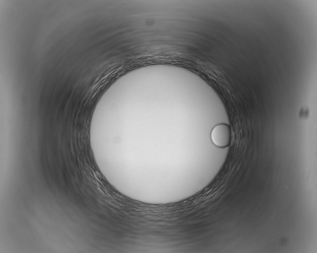 X0000115481060200911061020