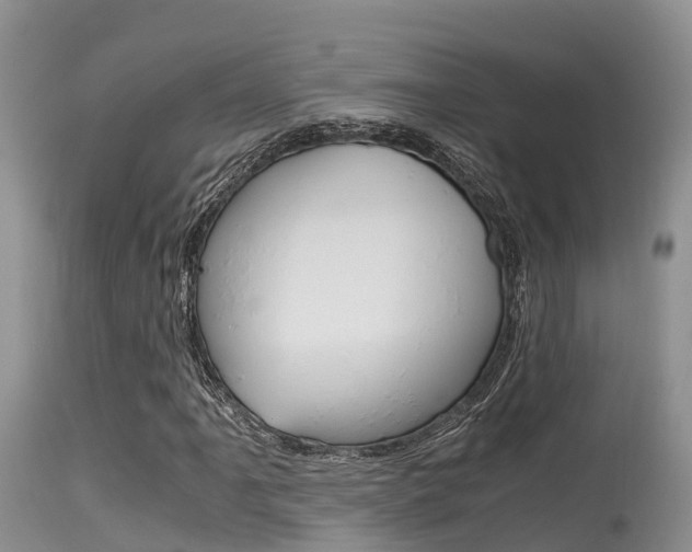 X0000115481061200911061020