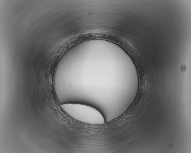 X0000115481062200911061020