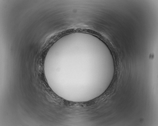 X0000115481063200911061020