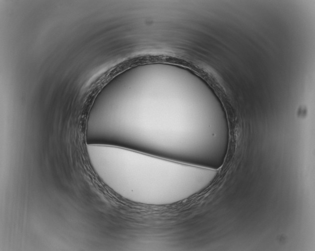 X0000115481064200911061020