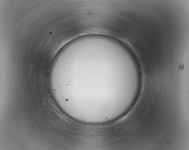 X0000115481065200911061020