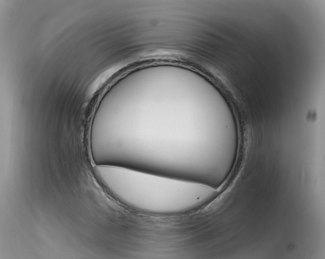 X0000115481066200911061020