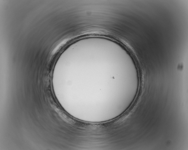 X0000115481067200911061020