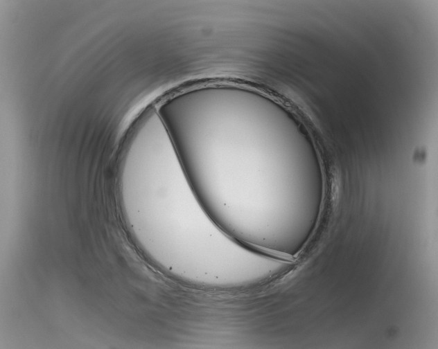 X0000115481069200911061020