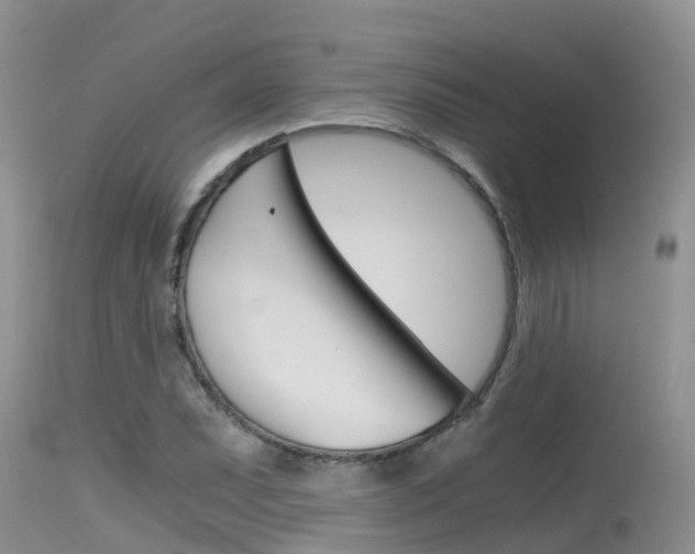 X0000115481071200911061020
