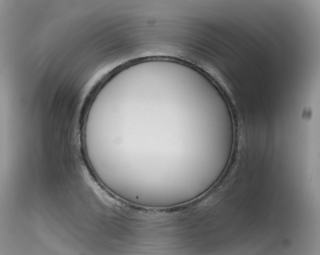 X0000115481072200911061020