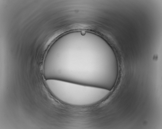 X0000115481073200911061020