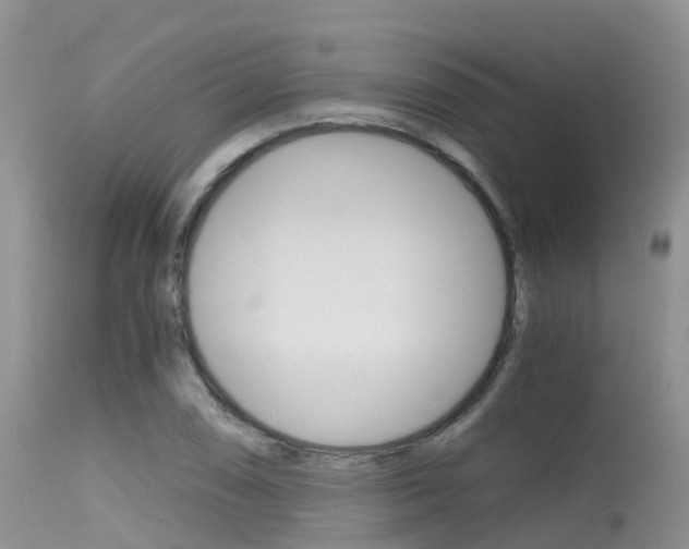 X0000115481074200911061020