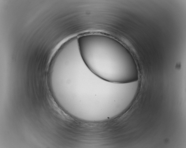 X0000115481076200911061019