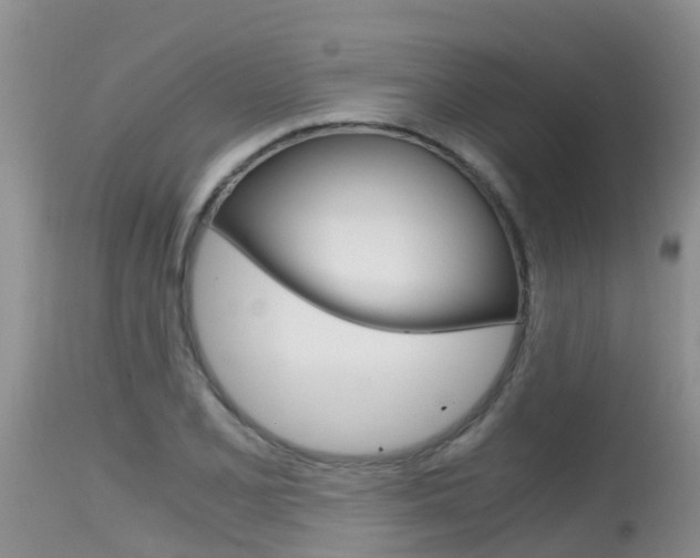 X0000115481077200911061019
