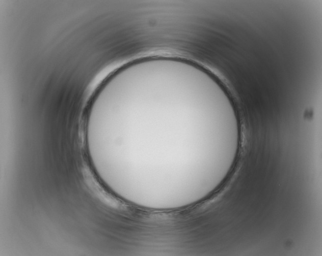 X0000115481078200911061019