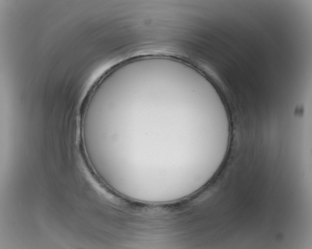 X0000115481079200911061019
