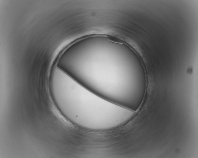 X0000115481080200911061019
