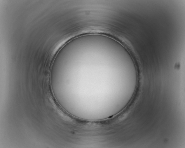 X0000115481081200911061019