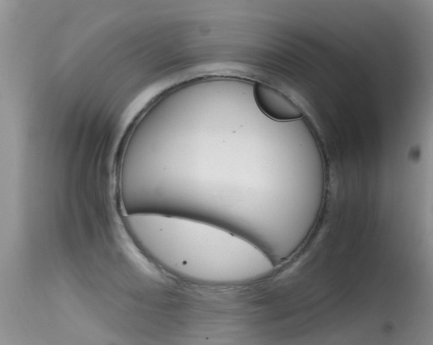 X0000115481082200911061019