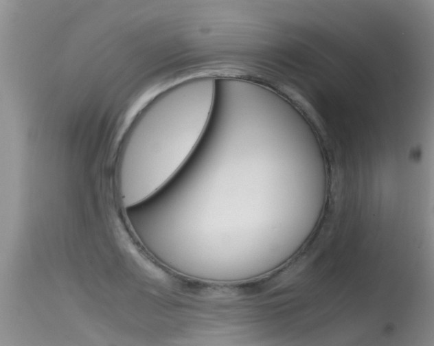 X0000115481083200911061019