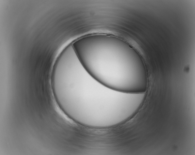 X0000115481084200911061019