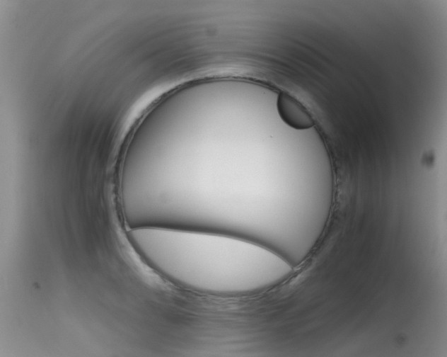 X0000115481086200911061019