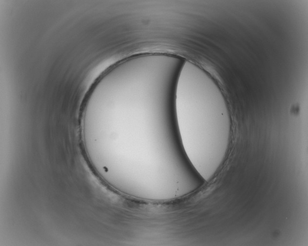 X0000115481087200911061019