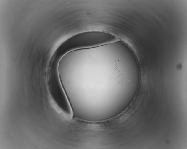 X0000115481088200911061019