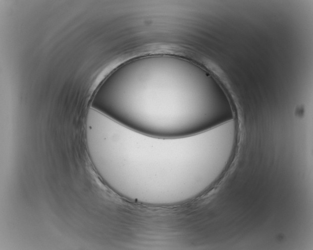 X0000115481089200911061019