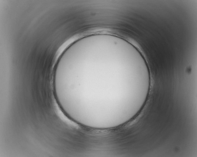 X0000115481090200911061019