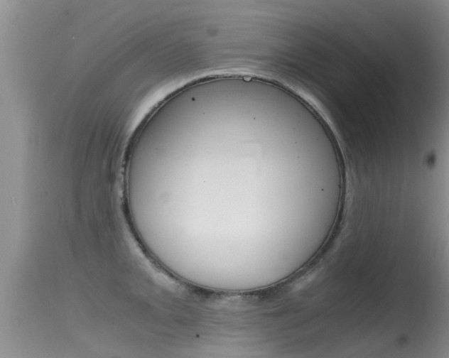 X0000115481093200911061019