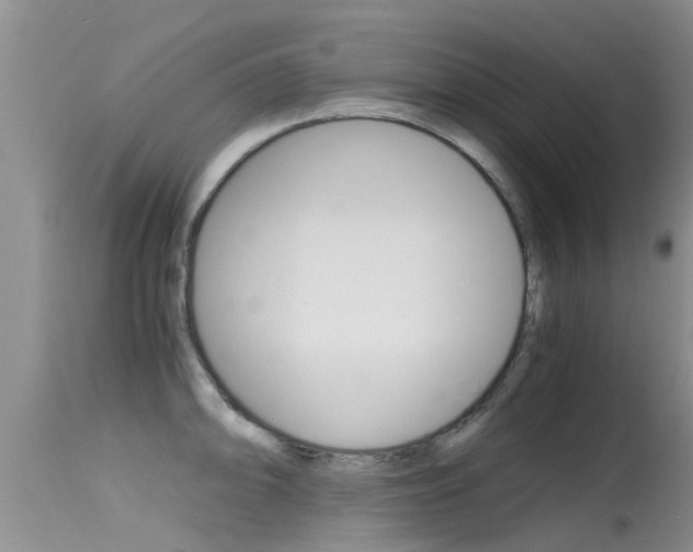 X0000115481094200911061019