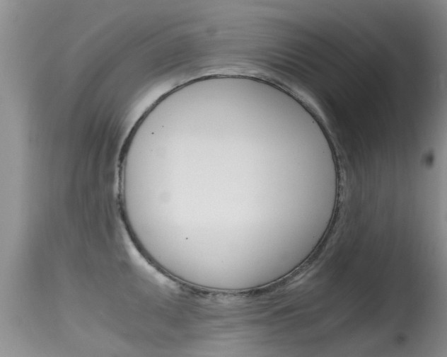 X0000115481095200911061019