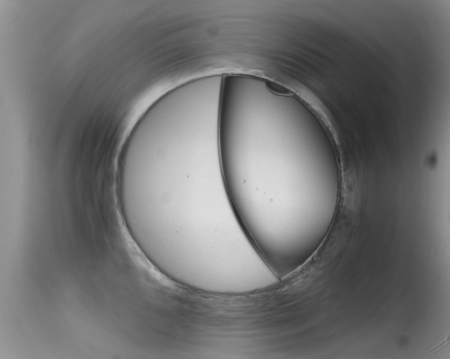X0000115481096200911061019