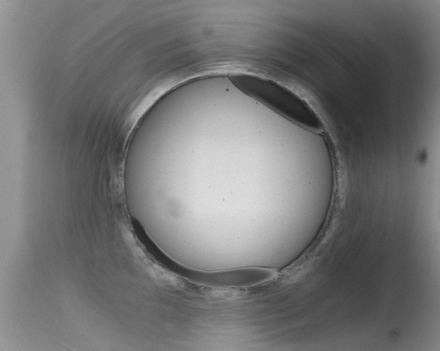 X0000115481097200911061019