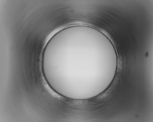 X0000115481098200911061019
