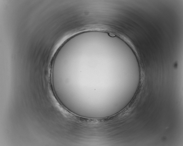 X0000115481099200911061019