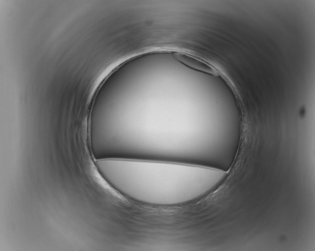 X0000115481100200911061019