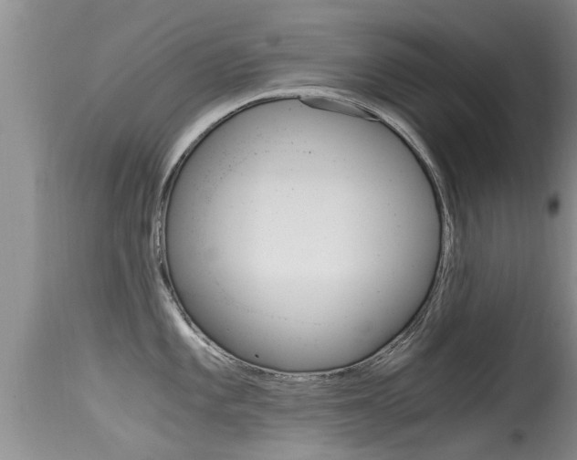 X0000115481101200911061019
