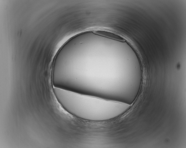 X0000115481102200911061019