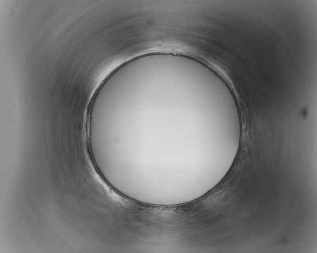X0000115481103200911061019