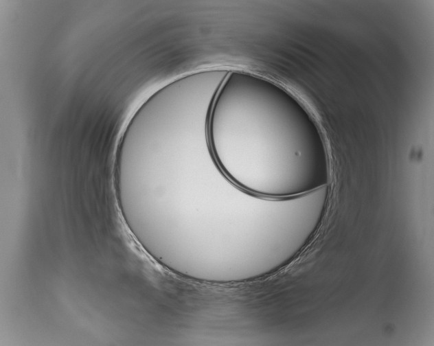 X0000115481104200911061019